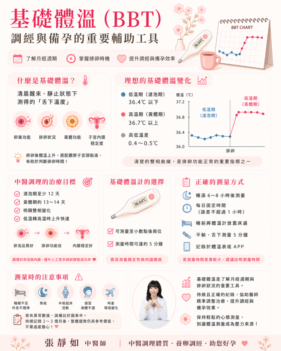 基礎體溫(BBT):調經與備孕的重要輔助工具