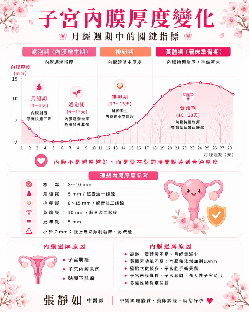 子宮內膜厚度變化